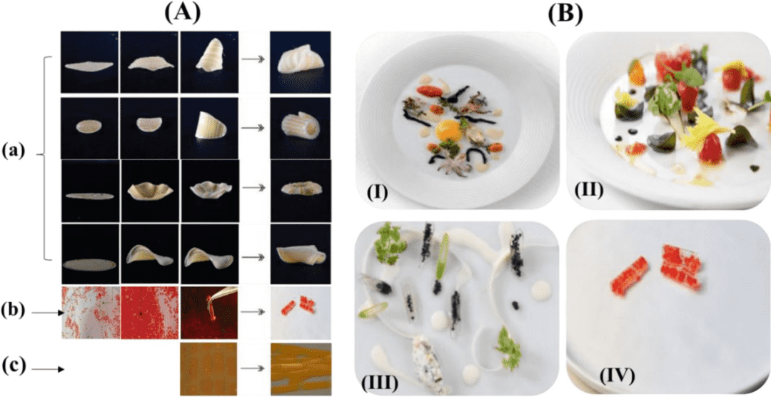 江大张慜教授团队顶刊综述：食品4D/5D/6D打印的进展、应用和研发机会