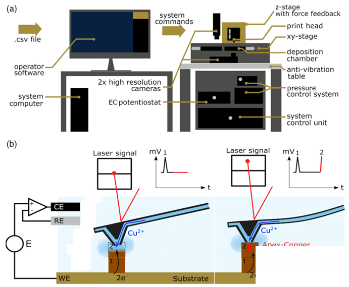 《Adv. Eng. Mater.》：跨尺度金属微结构增材制造