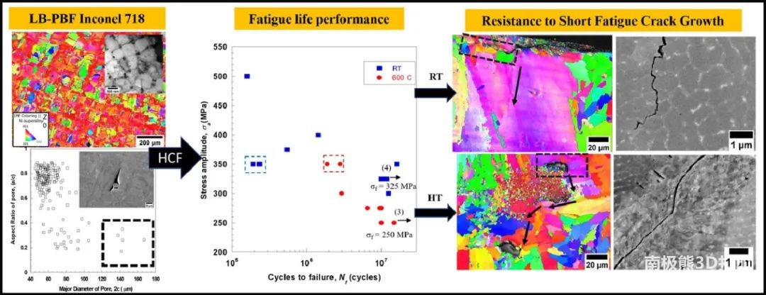 顶刊《Acta Mater》：SLM In718合金在25和600°C时的无凹口疲劳