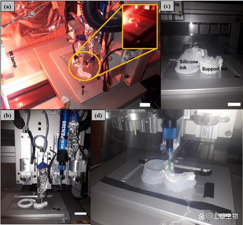 3D打印制备纤维增强主动脉模型