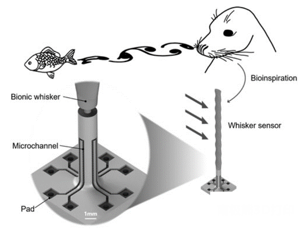 北航蒋永刚课题组：基于PμSL 3D打印技术制备的波形人工触须传感器用于不同流体的分析