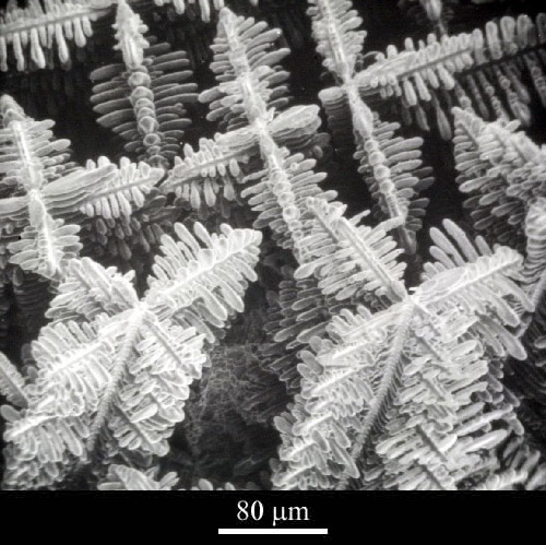 清华和新加坡大学研究流体流动，如何影响金属3D打印中的枝晶生长