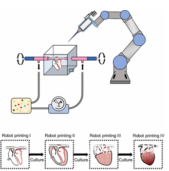 六轴机器人生物3D打印机打印心脏组织